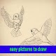 Download easy pictures to draw ideas For PC Windows and Mac 4.0.0