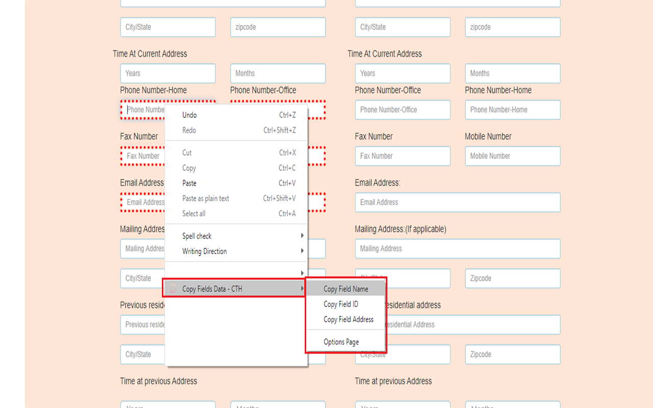 Copy Fields Data - CTH Preview image 1