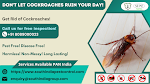 Cockroach Control Services in Cochin
