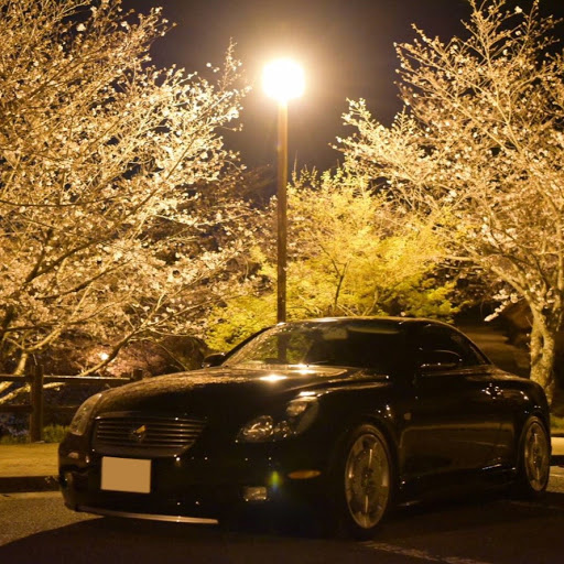 なおたんのプロフィール画像