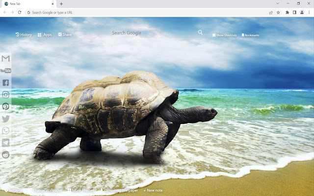 Turtle Wallpaper