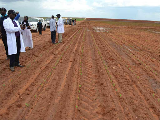 A section of 4,500 acres of tilled for maize plantation at the Galana Kulalu food security project in Malindi on November 29, 2016.