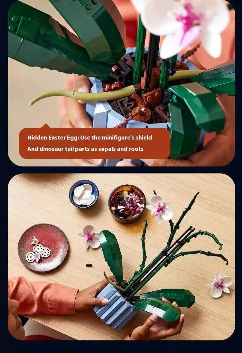 Title 9, Butterfly Orchid Building Blocks Starry Sky Chi...