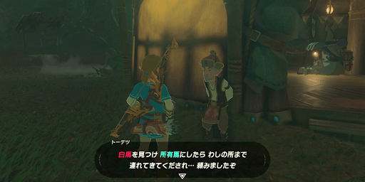 ゼルダBotW_トーテツに話しかける