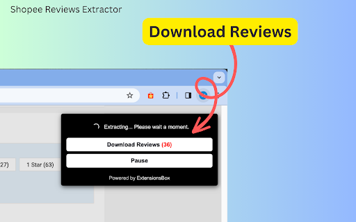 Shopee Reviews Extractor