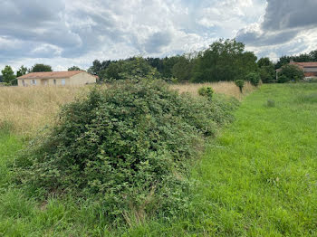 terrain à Chazelles (16)