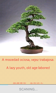 Proverbios - náhled