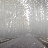 Viale con nebbia di 