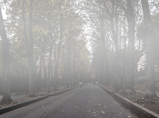 Viale con nebbia di albertocastagnaphoto