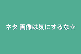 ネタ     画像は気にするな☆