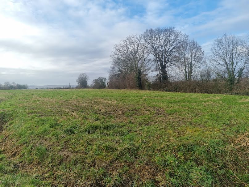 Vente terrain  10500 m² à Le Mêle-sur-Sarthe (61170), 76 990 €