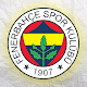 Download Fenerbahçe Duvar Kağıtları 2018-2019 For PC Windows and Mac 1.2