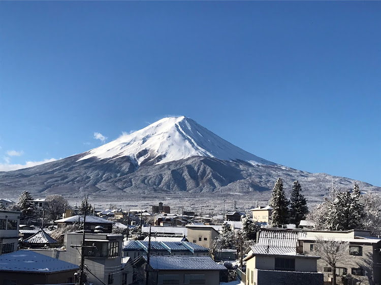 の投稿画像4枚目