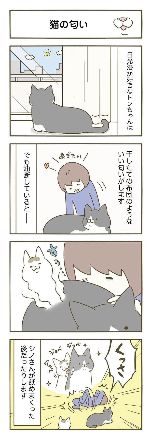 油断するとくっさい うちの猫がまた変なことしてる 3 6 Trill トリル