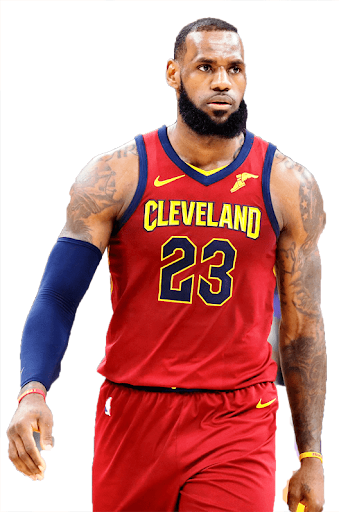 Selfie With LeBron James