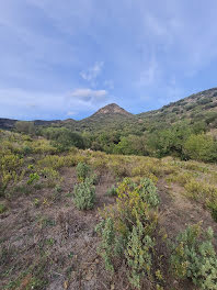 terrain à Banyuls-sur-Mer (66)