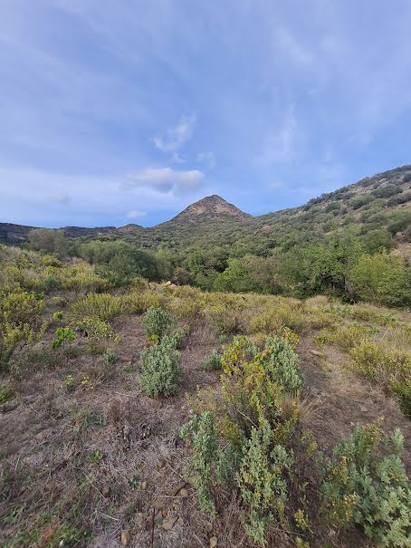 Vente terrain  10225 m² à Banyuls-sur-Mer (66650), 24 000 €