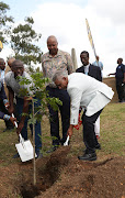 Mac Maharaj plants a tree near the grave of John Dube (1871-146), whose life was spent fighting for unity and the liberation of black people, at the Ohlange Institute in Inanda, Durban. 