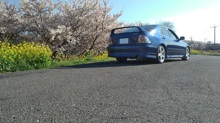 アルテッツァの洗車・ドライブ・桜✖️テッツァ・菜の花✖️テッツァに関するカスタム事例の投稿画像3枚目