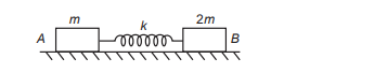 Spring-Mass System