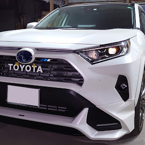 RAV4 AXAH54