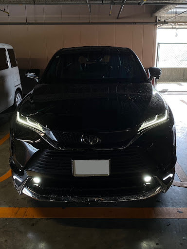 Koki様専用 左リアパネルのみ 80 ハリアー モデリスタ （80