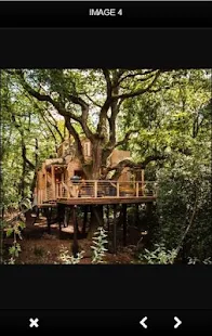 Ide Rumah Pohon(圖7)-速報App