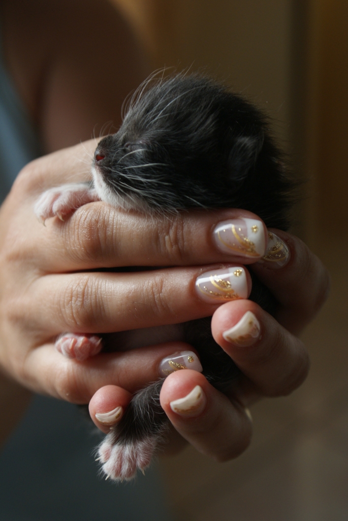 Benvenuto piccolino di MarcoMastro