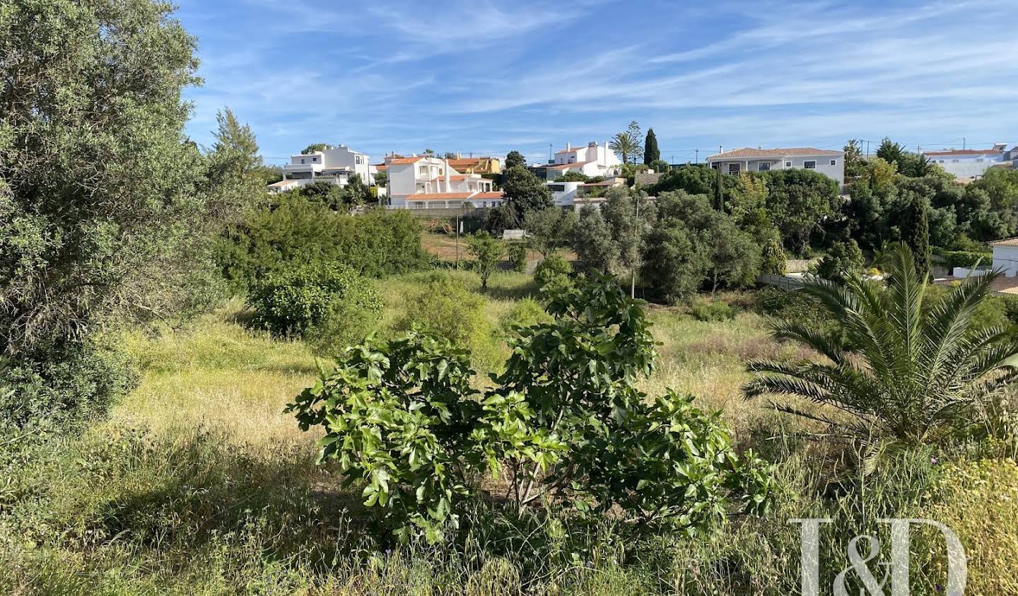 Terrain avec vue panoramique Lagoa