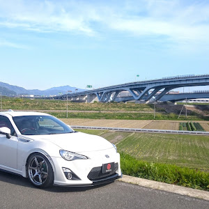 86 ZN6
