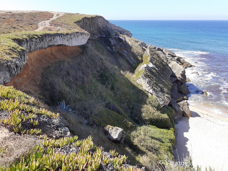 Porto covo