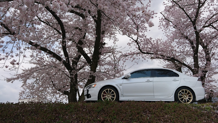 ランサーエボリューションの桜・洗車に関するカスタム事例の投稿画像3枚目