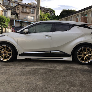 C-HR ZYX10