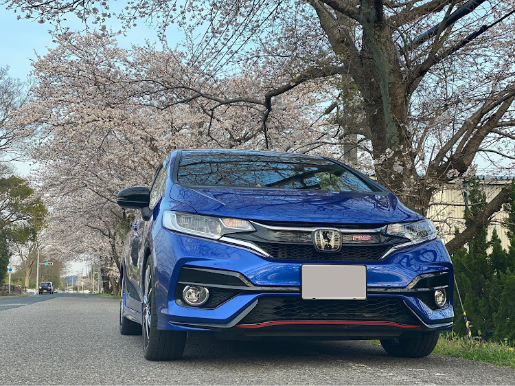 フィットの桜・桜と愛車に関するカスタム事例の投稿画像1枚目