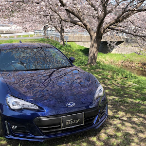 BRZ ZC6