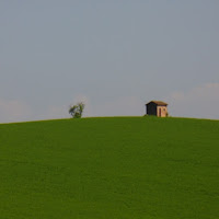 L'erba del vicino è sempre più verde di 