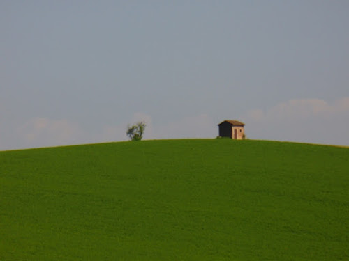 L'erba del vicino è sempre più verde di ildarita