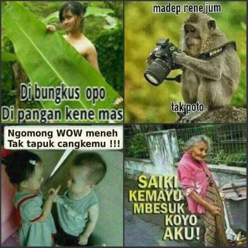 Gambar Lucu Bahasa Jawa 2019 Offline 1 0 Apk Download Com Kalegondes Gambarlucujawen Apk Free