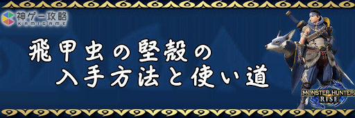 飛甲虫の堅殻