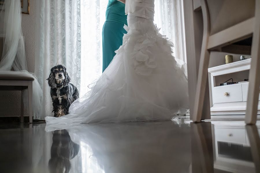 Fotógrafo de bodas Pablo Cambron (unicofoto). Foto del 8 de agosto 2022