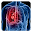 COPD Download on Windows
