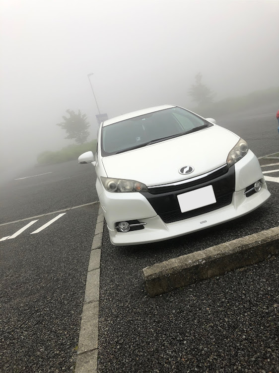 ウィッシュのN36さんが投稿したカスタム事例の投稿画像3枚目