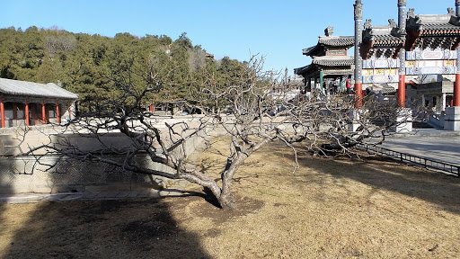 The Summer Palace Beijing China 2016