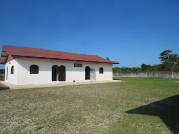 maison à Sinnamary (973)