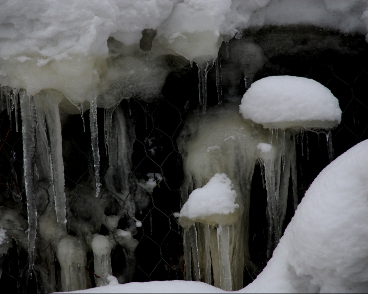 Meduse nell'abisso della montagna di chic