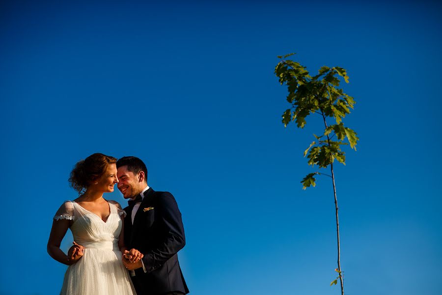 Fotografo di matrimoni Petrica Tanase (tanase). Foto del 8 aprile 2016