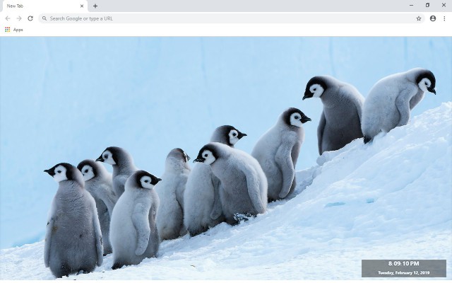 Penguen New Tab & Wallpapers Collection