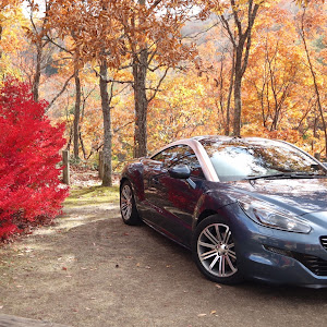 RCZ T7R5F02