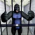 Gorilla Smash City Escape Jail