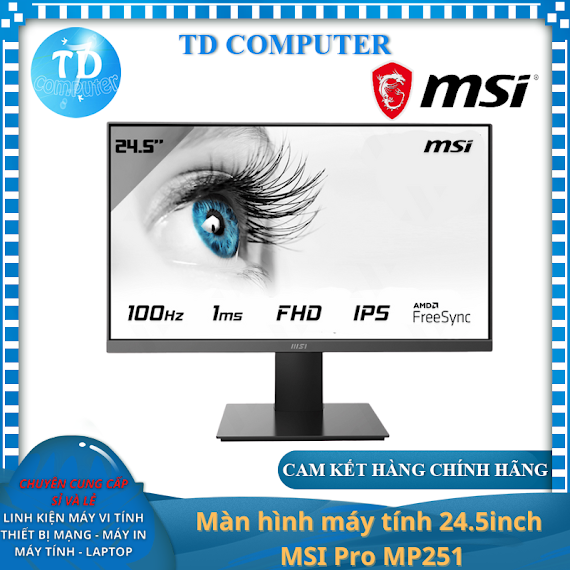 Màn Hình Máy Tính 24.5Inch Msi Pro Mp251 (24.5" Ips Fhd 100Hz, Hdmi Vga) - Hàng Chính Hãng Digiworld Phân Phối